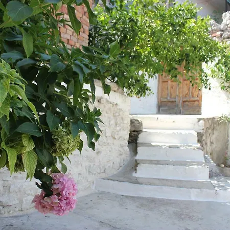 Toli Inside Castle *